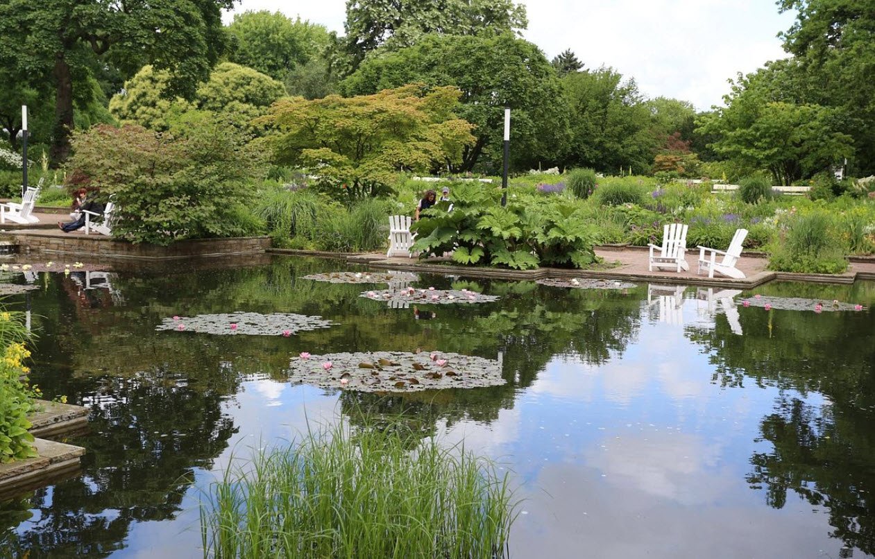 in Hamborn Botanical Garden, Duisburg, Germany, Germany